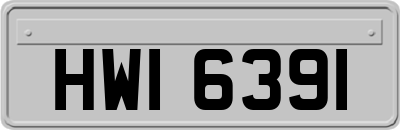 HWI6391