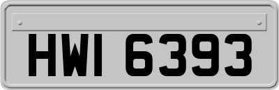 HWI6393