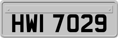 HWI7029