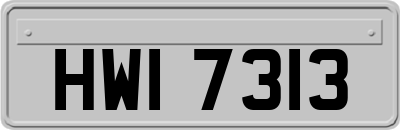 HWI7313