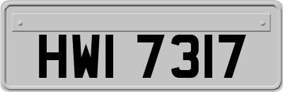 HWI7317