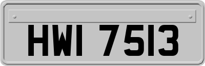 HWI7513