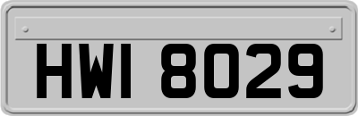 HWI8029