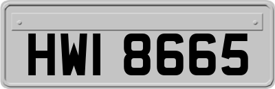 HWI8665