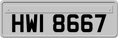 HWI8667