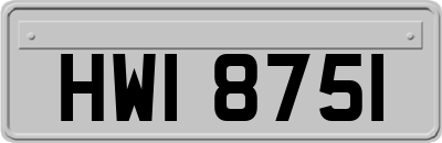 HWI8751