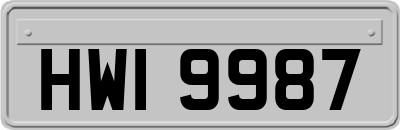 HWI9987
