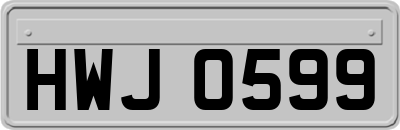 HWJ0599