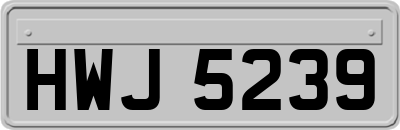 HWJ5239