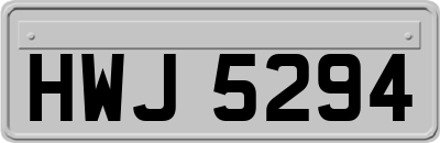 HWJ5294