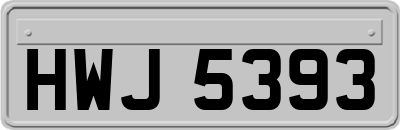 HWJ5393