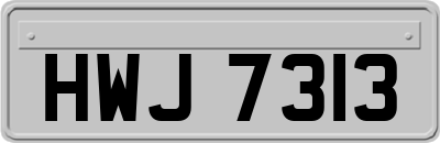 HWJ7313