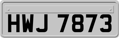 HWJ7873