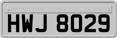 HWJ8029