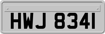HWJ8341