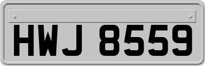 HWJ8559