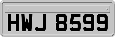 HWJ8599