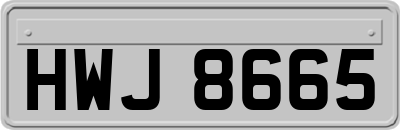 HWJ8665