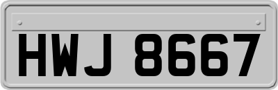 HWJ8667