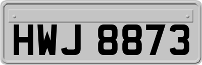 HWJ8873