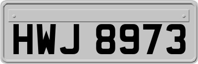 HWJ8973