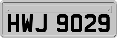 HWJ9029