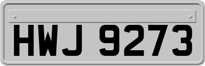 HWJ9273