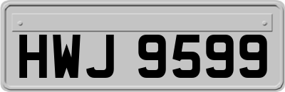 HWJ9599