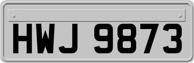 HWJ9873