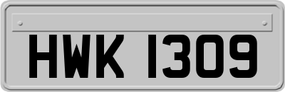 HWK1309