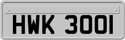 HWK3001