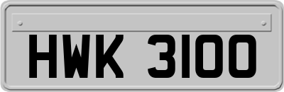 HWK3100