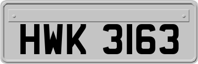 HWK3163