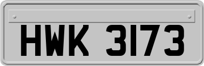 HWK3173