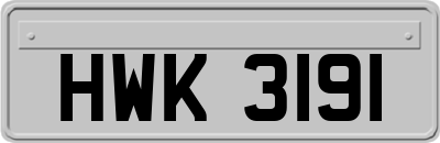 HWK3191