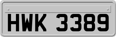 HWK3389