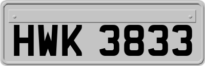 HWK3833
