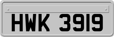 HWK3919