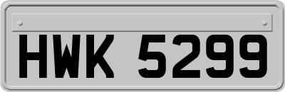 HWK5299