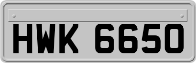 HWK6650