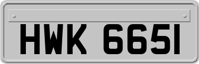 HWK6651