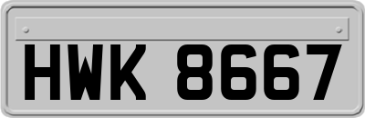 HWK8667