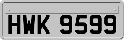 HWK9599