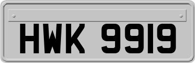 HWK9919