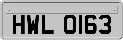 HWL0163