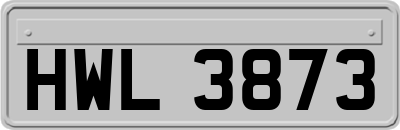 HWL3873