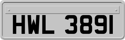 HWL3891