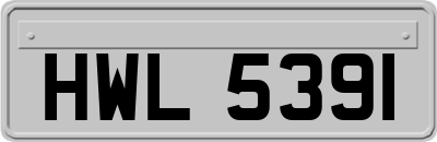HWL5391