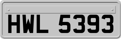 HWL5393