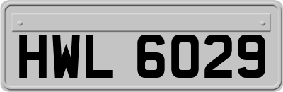 HWL6029
